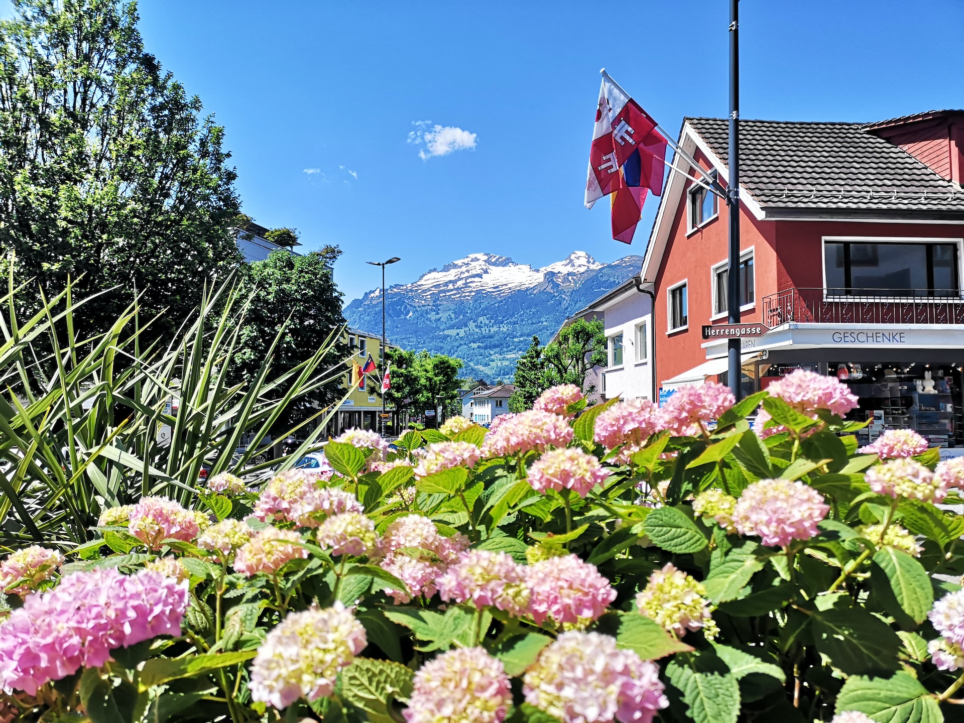 trade-agreements-in-liechtenstein-my-business-network